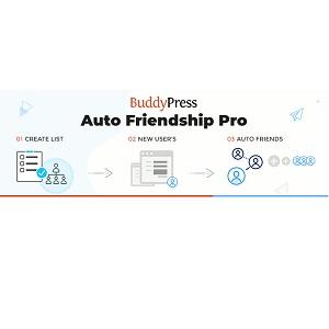 buddypress-auto-friendship-pro