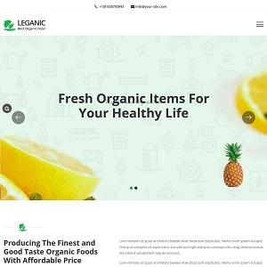 leganic-organic-and-food-store-wordpress-theme1