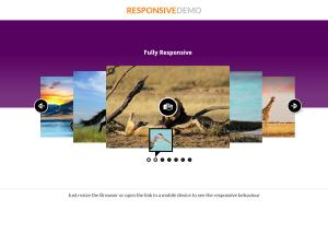 multimedia-responsive-carousel-with-image-video-audio-support-23